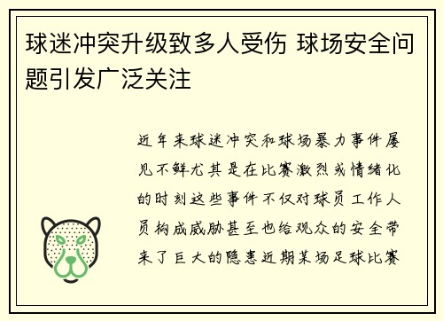 球迷冲突升级致多人受伤 球场安全问题引发广泛关注
